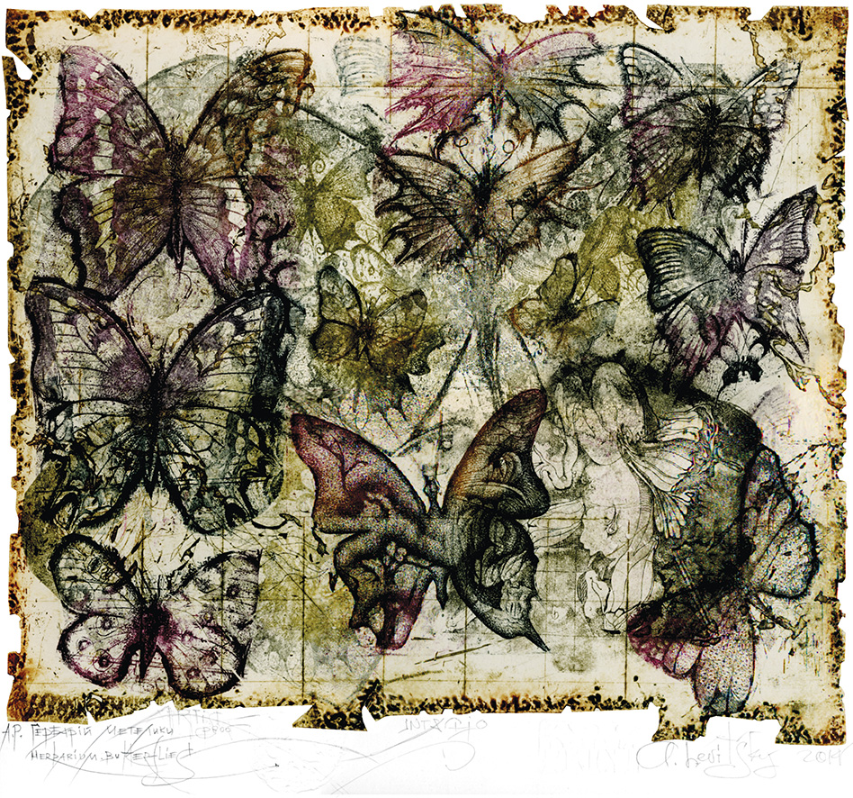 «Гербарій. Метелики». Авторський відбиток. Інталіо на міді, 36х41 cм, 2014 р.